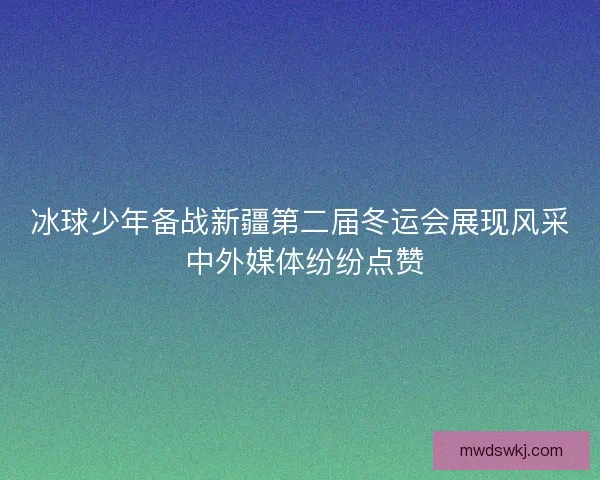 冰球少年备战新疆第二届冬运会展现风采 中外媒体纷纷点赞