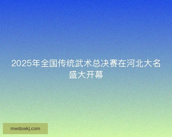 2025年全国传统武术总决赛在河北大名盛大开幕