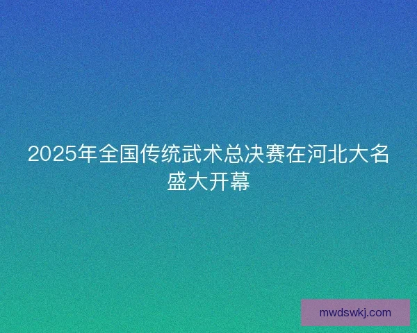 2025年全国传统武术总决赛在河北大名盛大开幕