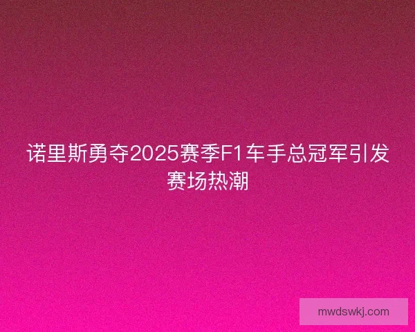 诺里斯勇夺2025赛季F1车手总冠军引发赛场热潮 诺里斯勇夺2025赛季F1车手总冠军引发赛场热潮