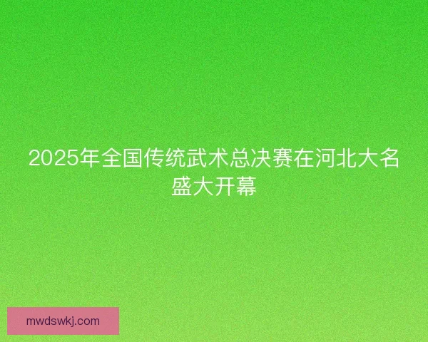 2025年全国传统武术总决赛在河北大名盛大开幕